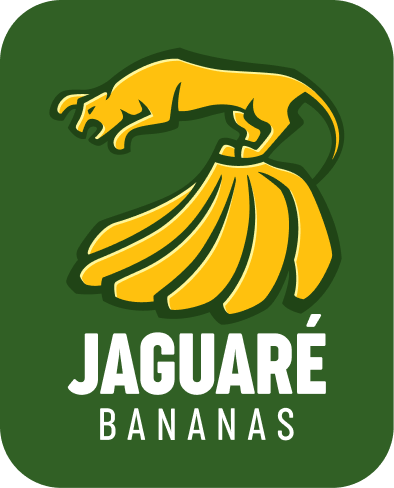 Jaguaré Bananas – 40 anos de excelência na Ceagesp